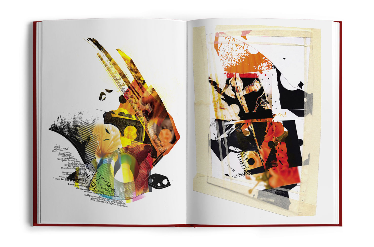 Aurora_spread02