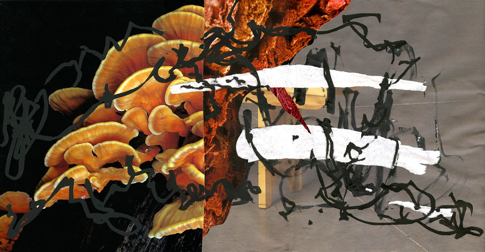 serie_turnin001_low1
