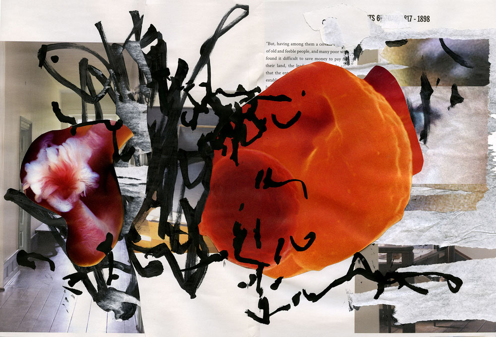 serie_turnin003_low1