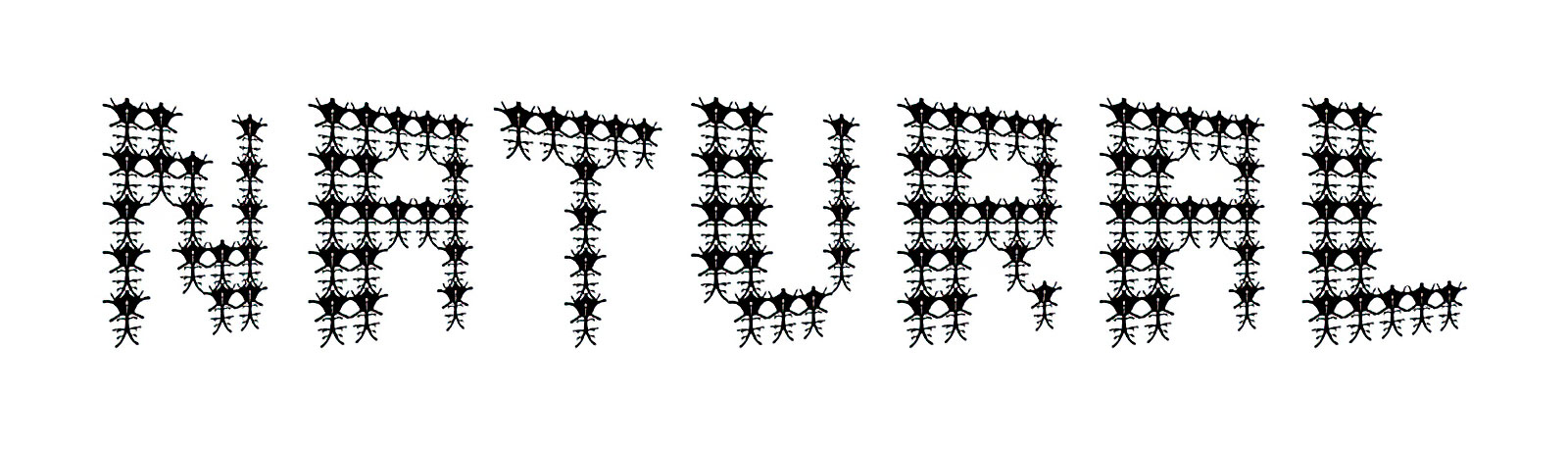 neuron-slide03