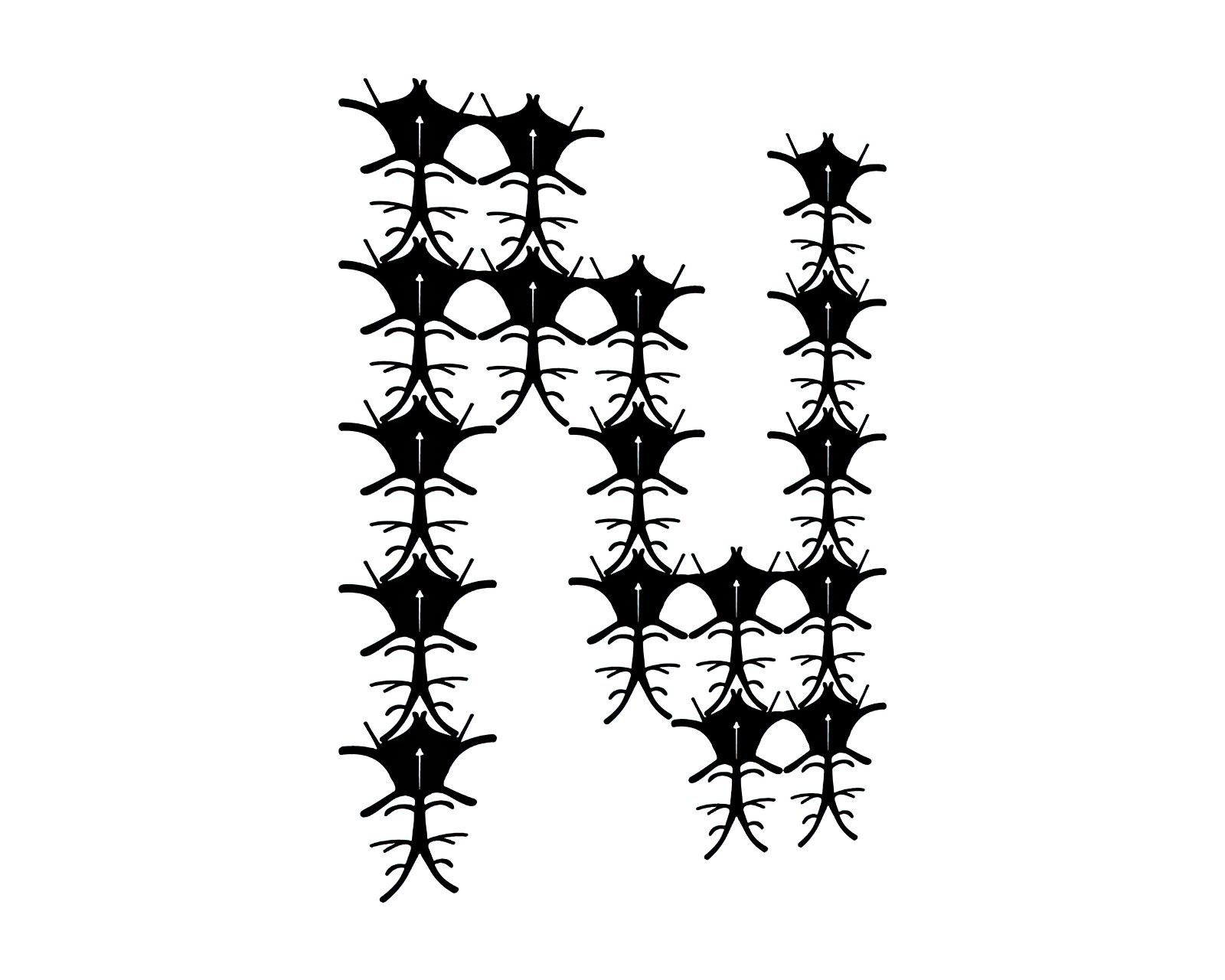 neuron-slide04